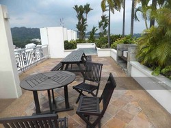Patent Place (D21), Condominium #178016912